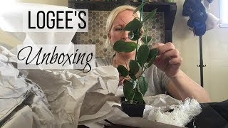 Logees Houseplant Order  House Plant Unboxing  Check out my new Plants [upl. by Lad623]