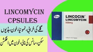 Lincomycin capsule lincomycin capsule uses [upl. by Ettesoj]