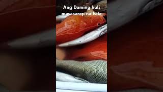 Masasarap na Isda Ang Nahuli fishing fishing fishingvideo fish fish viralvideo [upl. by Rehposirhc853]