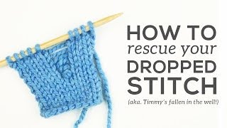 How to Fix a DROPPED STITCH [upl. by Christye]