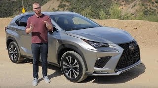 2020 Lexus NX 300 F Sport Test Drive Video Review [upl. by Bibby78]