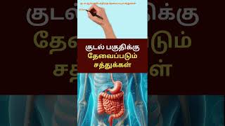 குடல் பகுதிக்கு தேவைப்படும் சத்துக்கள் fiber probiotics zinc glutamine vitamind ytshorts [upl. by Ainaj747]