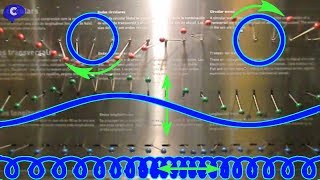 𝐓𝐈𝐏𝐎𝐒 𝐃𝐄 𝐎𝐍𝐃𝐀𝐒  Ondas Longitudinales Transversales y Circulares [upl. by Briney]