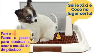 Como treinar o cachorro a usar o sanitário de plástico Passo a passo [upl. by Cavill]