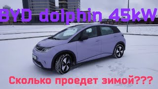 BYD Dolphin запас хода зимой на одной зарядке [upl. by Lecrad582]