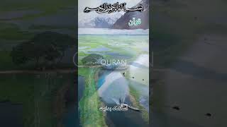 2025 Al Quran surah verse recitation tilawat alquran quran surah verse recitation tilawat [upl. by Nythsa]