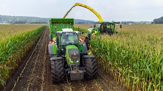 Mais Silage 2021 with John Deere 8300i  Vriezen  Braamt [upl. by Epul]