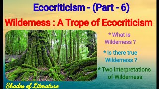 Wilderness A Trope of Ecocriticism [upl. by Pressey644]