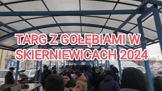 TARG RYNEK Z GOŁĘBIAMI SKIERNIEWICE 2024 [upl. by Itraa]