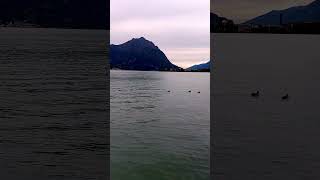 LAGO DISEO LOVERE BERGAMO 12 ottobre 2024 4 parte [upl. by Fonz21]