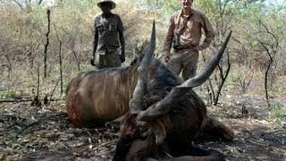 LORD DERBY ELAND HUNTING Chasse in CENTRAL AFRICA by Seladang [upl. by Wendi]