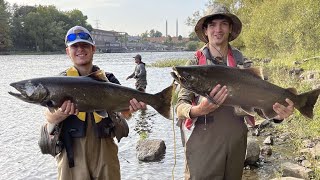 Fishing Oswego River for Angry King Salmon [upl. by Bailey]