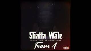 Shatta Wale  Team A SHATTA MUSIC Audio [upl. by Trace]