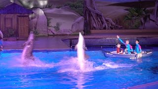 Dolfijnen show Dolphin Bay Adventure Boudewijn Seapark 2016 [upl. by Llemaj396]