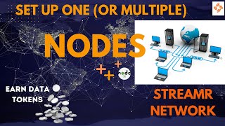 Set Up One or Multiple DATA Nodes STREAMR NETWORK [upl. by Ayotas881]