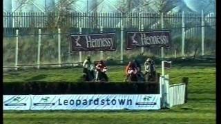 2003 Hennessy Cognac Irish Gold Cup Chase [upl. by Assyli329]