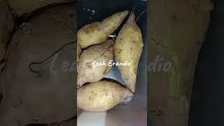 Kamote ka ba kamote camote nilagangkamote rootcrops meryenda food trend short [upl. by Yalhsa436]