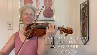 Blackberry Blossom Fiddle Lesson [upl. by Anuala891]