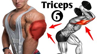 6 Effective Triceps Exercises to Grow Your Arms in 22 days [upl. by Hamil441]