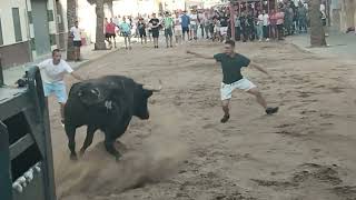 Massamagrell 14092024 Toros del Pilar y del Canario [upl. by Ellehcil82]