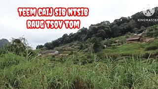 Teem caij sib ntsib raug tsov tom 18102024 [upl. by Athiste]