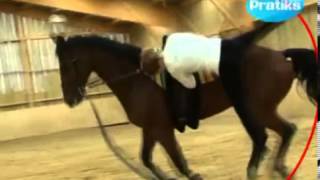 Equestrian Vaulting  How to do a vaulton at a canter [upl. by Onidranreb]