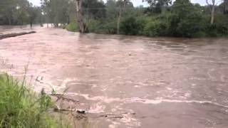 LOCKYER CREEK FLOODING  POINTINGS BRIDGE [upl. by Nivak]