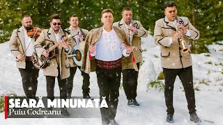 Puiu Codreanu  Seară minunată Videoclip Oficial [upl. by Ban]