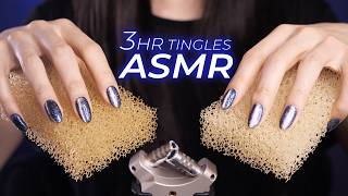 ASMR for People Who Don’t Get Tingles 3hr  Everyday Items Mildly Fast amp Intense No Talking [upl. by Elletsyrc]