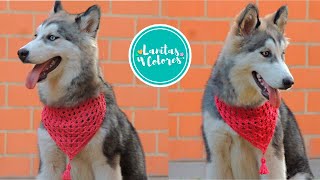 🐶❤ BELLA Bufanda triangular para MASCOTAS tejida a crochet  Lanitas y Colores [upl. by Annorah]