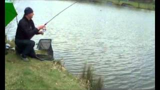 A couple of tench from Foxes Lake at Wyreside [upl. by Linea]