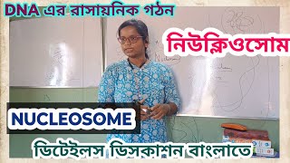 NUCLEOSOME MODEL NEWBODIES নিউক্লিওসোম [upl. by Seiuqram]