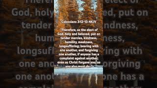 Colossians 31213 NKJV [upl. by Ignatia]