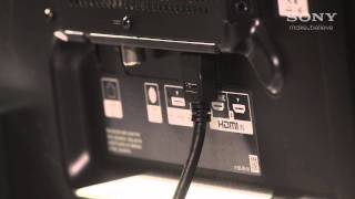 How to set up your BRAVIA with an active display stand [upl. by Ecnerual331]