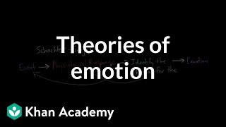 Theories of Emotion  Processing the Environment  MCAT  Khan Academy [upl. by Subocaj]