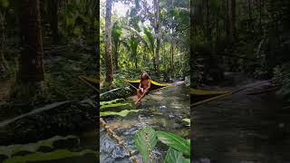 Hammock Camping In The River shorts asmr hammocklife hammockcamping viral fyp camping [upl. by Eileen]