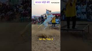 Nagni dance rajasthani tejaji horse marwadi lapetamarenagnisong [upl. by Adnawt]