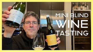 Mini Blind Wine TastingFunneling Technique [upl. by Rramo]