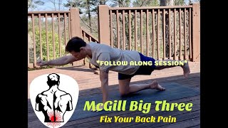 McGill Big 3 Follow Along Session Fix Your Back Pain [upl. by Litman811]