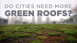 How Green Roofs Can Help Cities  NPR [upl. by Vin]