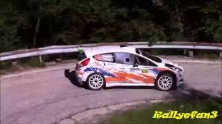 Rally Piancavallo 2016 Action [upl. by Emile741]