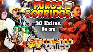 Comando Unico Mix Puros Corridos  Comando Unico De Oro [upl. by Ydneh]