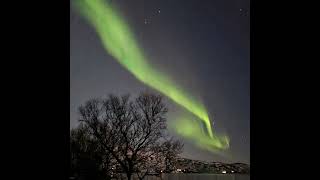 Tromsø  Norway trip Northern Lights and Dog Sledding via Bergen in March 2022 [upl. by Lav]