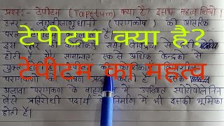 टेपीटम क्या है टेपीटम का महत्व लिखिए Tapitam kya hai  Tapetum ka mahatva likho [upl. by Enifesoj]