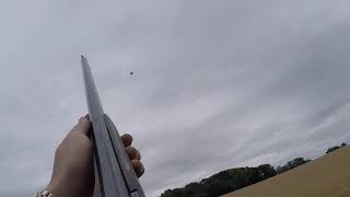 Mega day Pigeon Shooting  Flighting Pigeons  Go Pro [upl. by Adnovay]