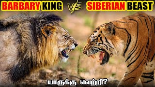 Barbary Lion vs Siberian Tiger  பார்பேரி சிங்கம் vs சைபீரிய புலி  Savage Empire [upl. by Weidar312]