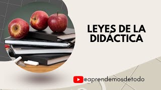 LEYES DE LA DIDÁCTICA [upl. by Tufts]