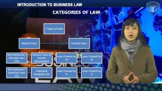 INTRODUCTION TO BUSINESS LAW [upl. by Henrique]