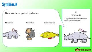 Science Cartoon Symbiosis Predation and Competition [upl. by Sparks493]