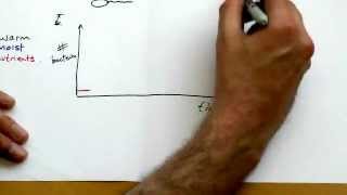 GCSE Bacterial growth [upl. by Nole]